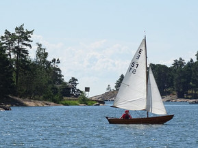 Göteborgs eka Other