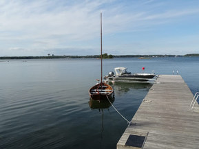 Göteborgs eka Other