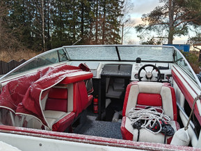 Four Winns 205 Sundowner