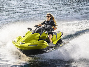 Kawasaki Ultra 310 X