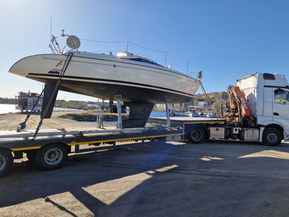 Maxi Fenix