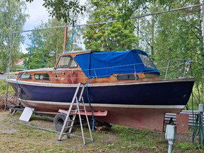 Family Cruiser Other