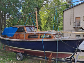 Family Cruiser Other