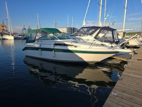 Sea Ray 250 DA