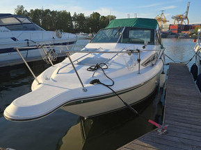 Sea Ray 250 DA