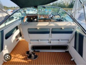 Sea Ray 250 DA