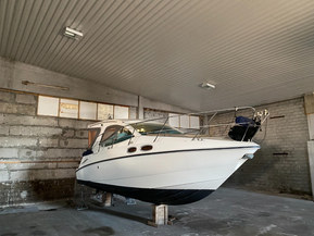 Sealine SC29