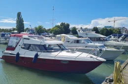 Bella Falcon 26
