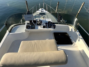 Tristan 315 Flybridge