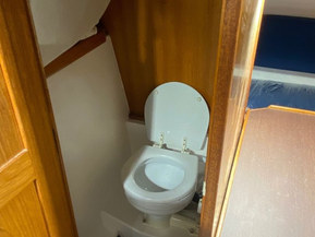 SeaStar S23TD Sportfisher