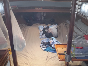 Omavalmiste Muu malli