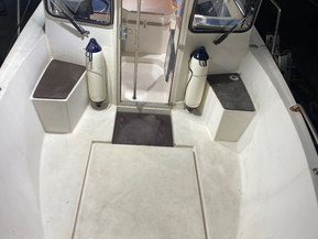 SeaStar S23TD Sportfisher