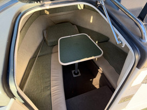 Bayliner 2052 Trophy