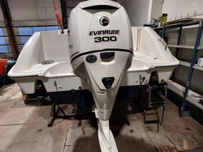 Boston Whaler 240 Outrage