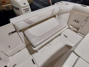 Boston Whaler 240 Outrage
