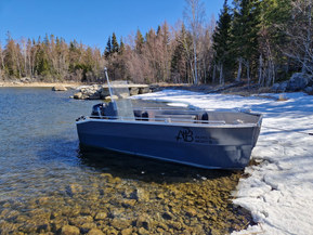 Alpo Pro Boats Muu malli