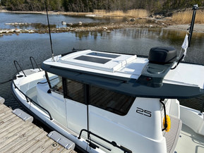 Sargo 25