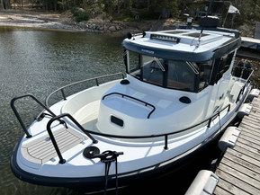Sargo 25