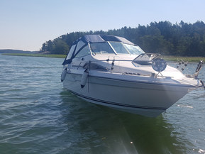 Sea Ray 220 DA
