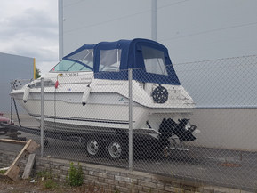 Sea Ray 220 DA