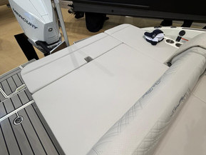 Sea Ray 250 SDX Outboard