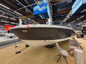 Sea Ray 250 SDX Outboard