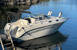 Sea Ray 240 Sundancer