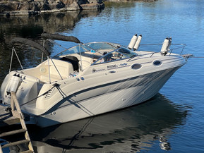 Sea Ray 240 Sundancer