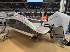 Sea Ray 250 SDX Outboard