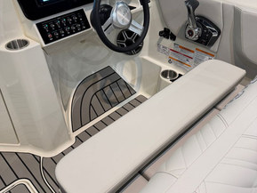 Sea Ray 250 SDX Outboard