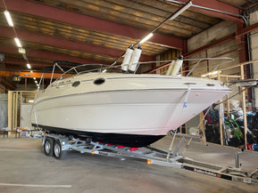 Sea Ray 240 Sundancer