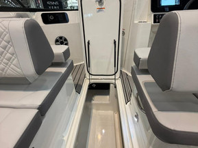 Sea Ray 250 SDX Outboard