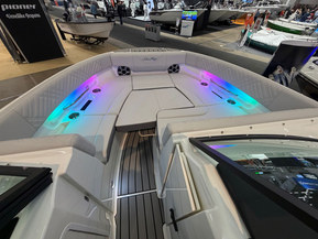 Sea Ray 250 SDX Outboard