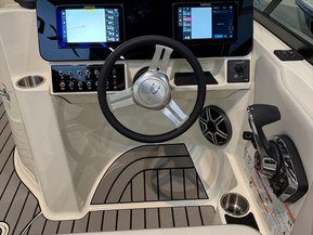 Sea Ray 250 SDX Outboard