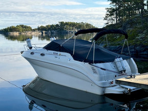 Sea Ray 240 Sundancer