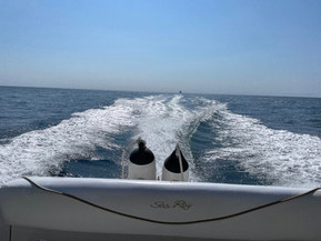 Sea Ray 240 Sundancer