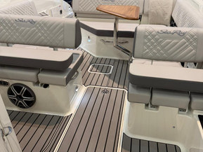 Sea Ray 250 SDX Outboard