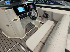 Sea Ray 250 SDX Outboard