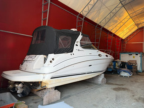 Sea Ray 280/315 Sundancer