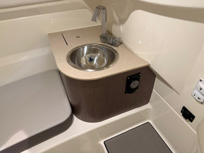 Sea Ray 250 SDX Outboard