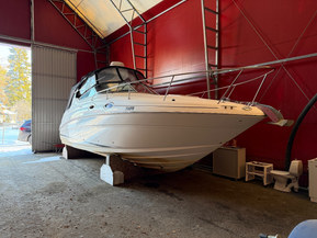 Sea Ray 280/315 Sundancer