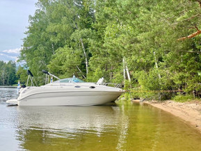 Sea Ray 240 Sundancer