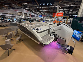 Sea Ray 250 SDX Outboard