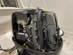 TG 6500 Sport Cruiser