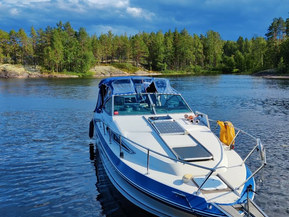 Sea Ray 250 Sundancer