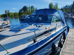 Sea Ray 250 Sundancer