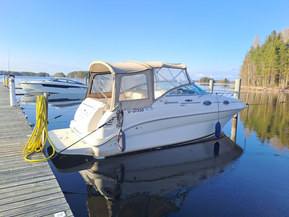 Sea Ray 240 Sundancer