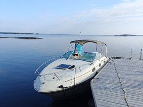 Sea Ray 240 Sundancer