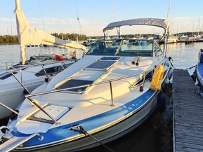 Sea Ray 250 Sundancer