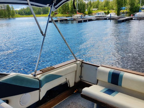 Sea Ray 250 Sundancer